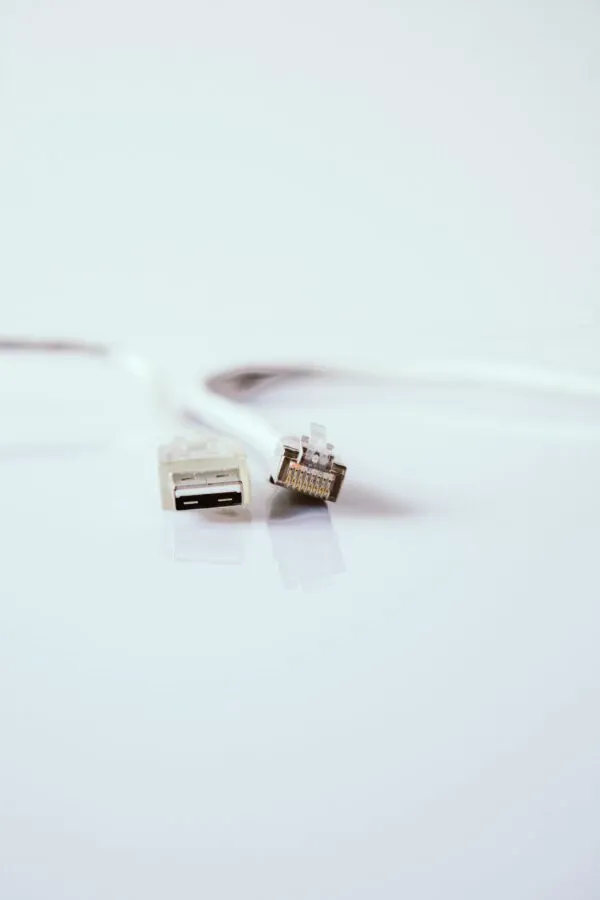 Ethernet cables plugged into a network switch